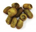 Cocoons, dyed Olive, 10 pack