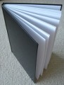 Diary, Visual