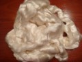 HempViscose Fibre sliver