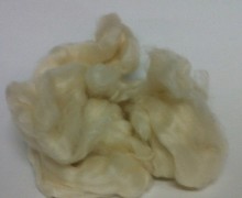 cashmere at Silksational