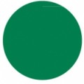 Arasilk 609 Irlande 50ml