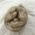 13 Shell  Wool Top 19.5 micron merino #NEW COLOUR#