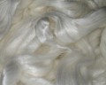 Ramie Fibre Sliver