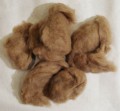 Camel Down fibres 100g (with guard hairs)