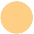 Arasilk 862 Beige Sepia
